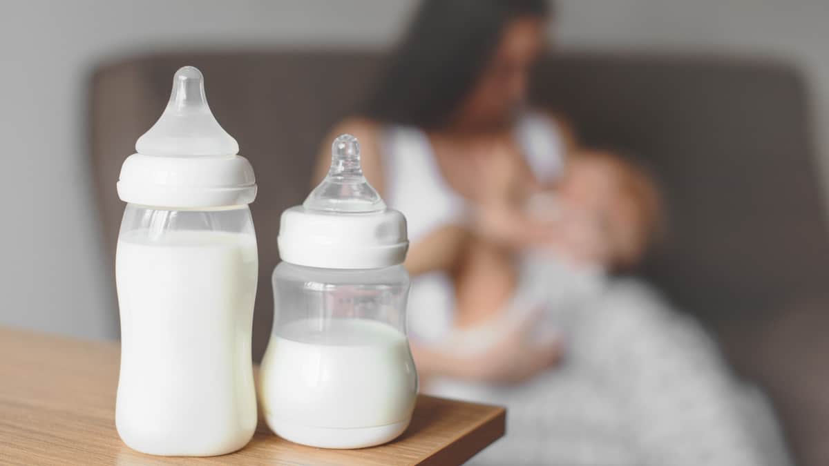 Indagine dell’Iss su diossine e PCB nel latte materno in Provincia di Brescia
