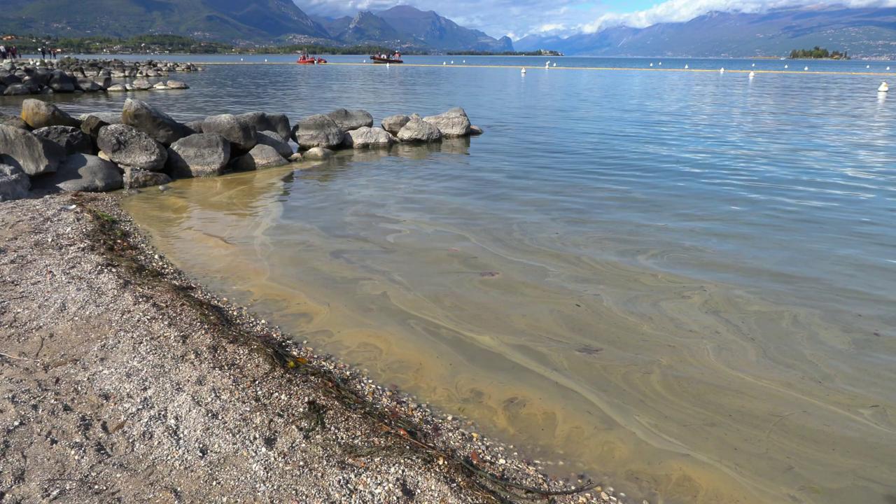 PCB e diossine nel Lago di Garda